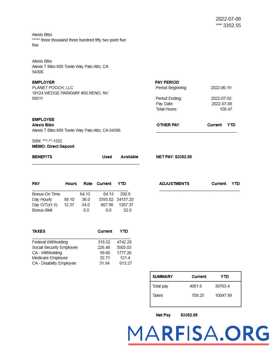 Blank Planet Pooch LLC earnings statement example